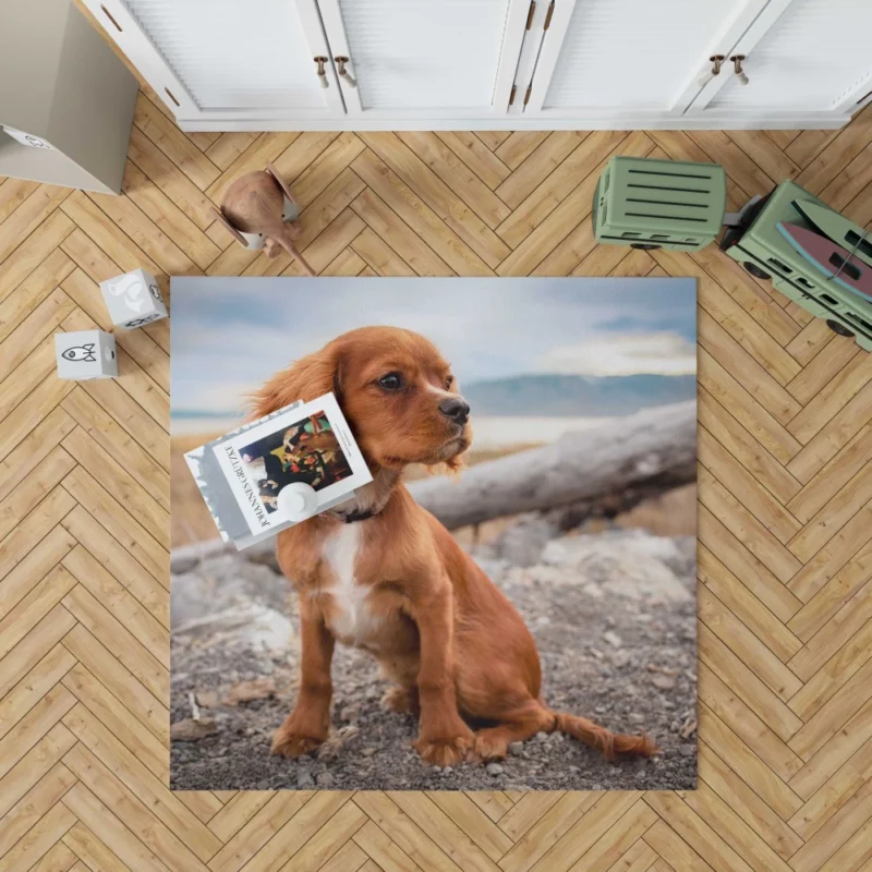 Cute Spaniel Puppy Adorable Charm Rug