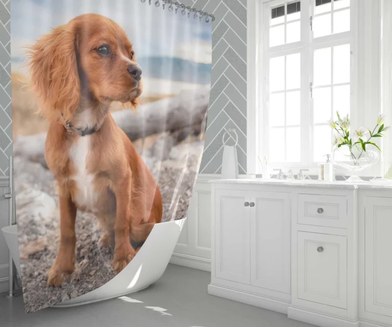 Cute Spaniel Puppy Adorable Charm Shower Curtain 1