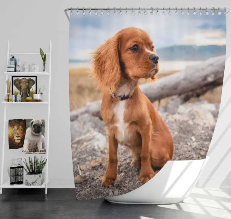 Cute Spaniel Puppy Adorable Charm Shower Curtain