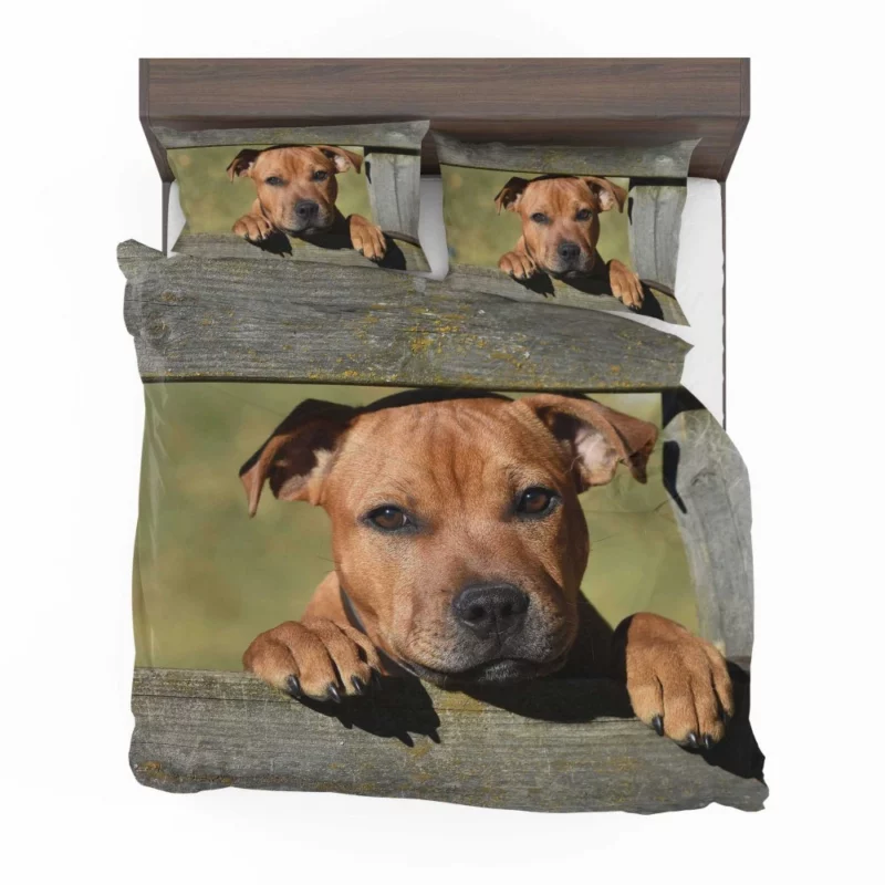 Cute Staffordshire Bull Terrier Dog Delight Bedding Set 1