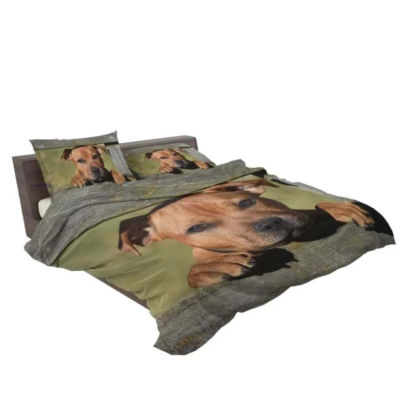 Cute Staffordshire Bull Terrier Dog Delight Bedding Set 2