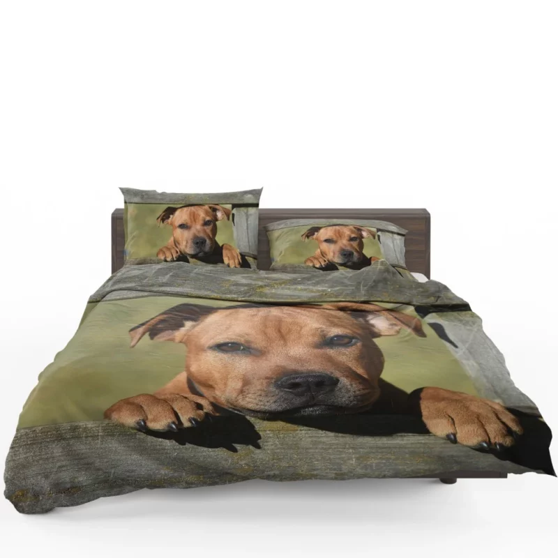 Cute Staffordshire Bull Terrier Dog Delight Bedding Set