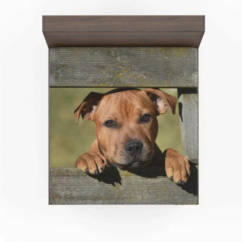 Cute Staffordshire Bull Terrier Dog Delight Fitted Sheet 1