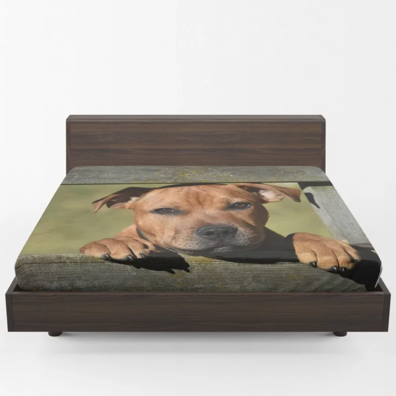 Cute Staffordshire Bull Terrier Dog Delight Fitted Sheet