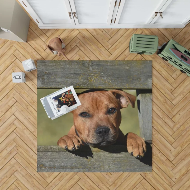 Cute Staffordshire Bull Terrier Dog Delight Rug