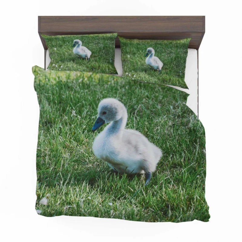 Cute Swan Cygnet Graceful Innocence Bedding Set 1