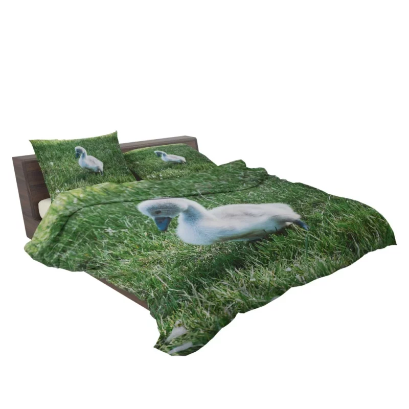 Cute Swan Cygnet Graceful Innocence Bedding Set 2