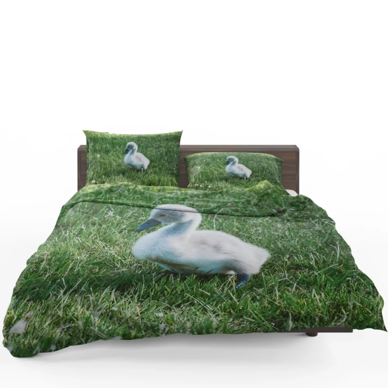 Cute Swan Cygnet Graceful Innocence Bedding Set