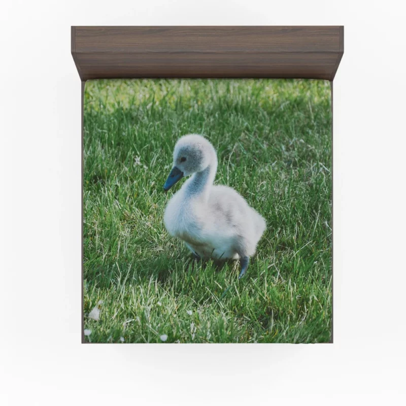 Cute Swan Cygnet Graceful Innocence Fitted Sheet 1