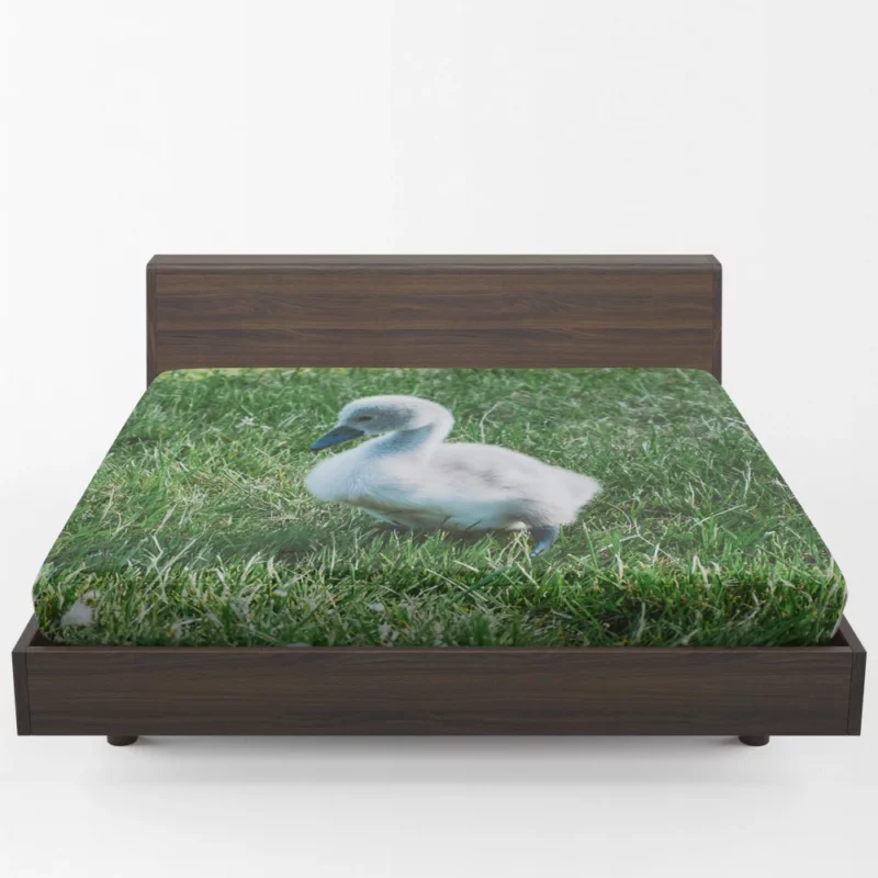 Cute Swan Cygnet Graceful Innocence Fitted Sheet