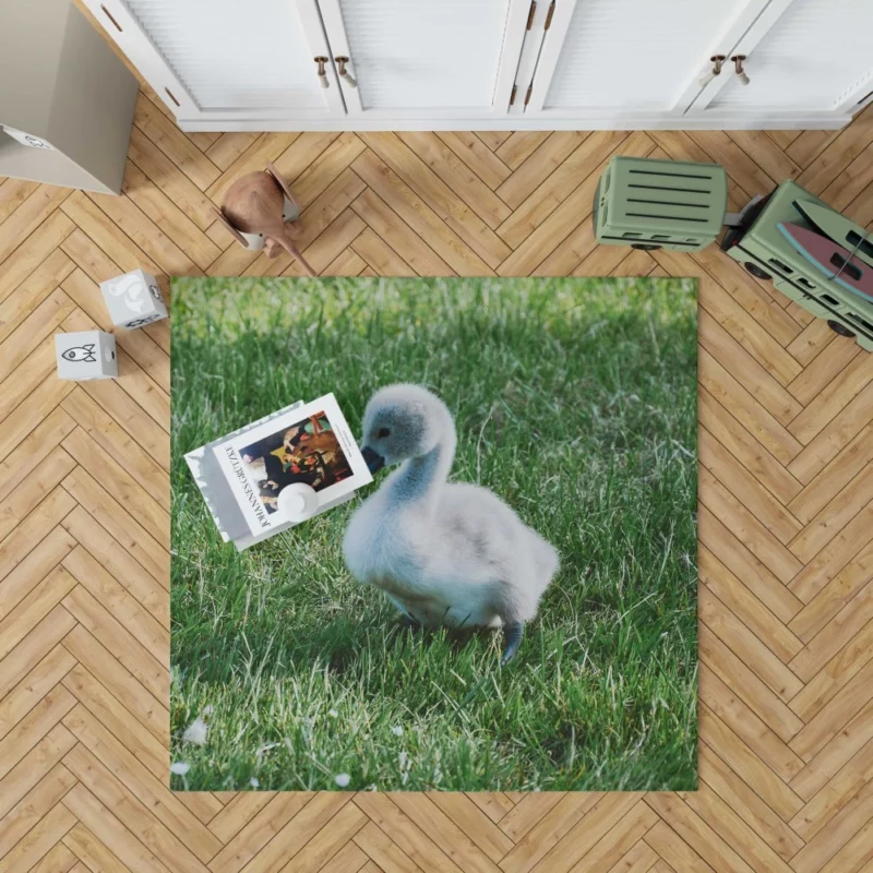 Cute Swan Cygnet Graceful Innocence Rug