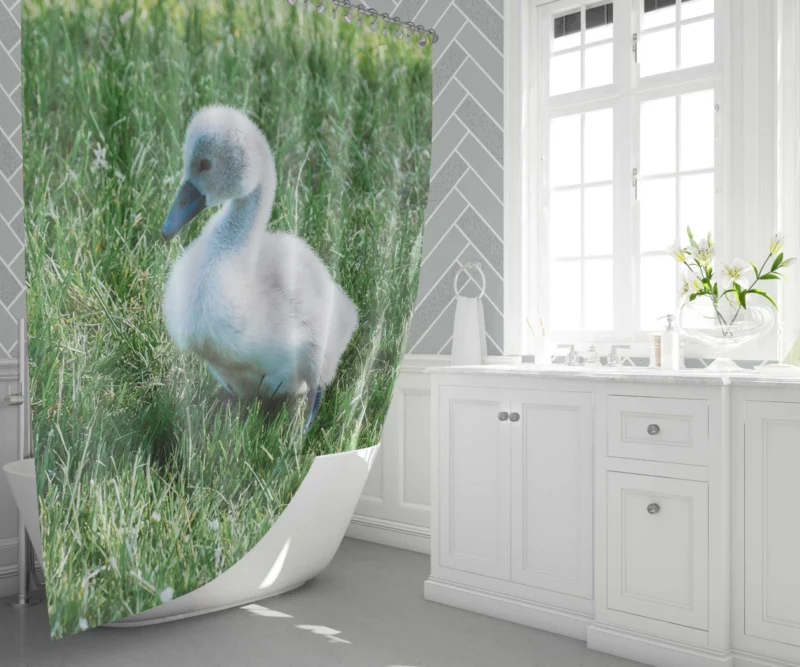 Cute Swan Cygnet Graceful Innocence Shower Curtain 1