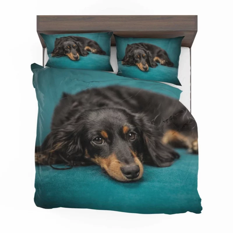 Dachshund Adorable Charm Furry Curiosity Bedding Set 1