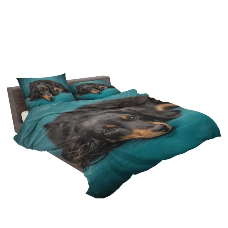 Dachshund Adorable Charm Furry Curiosity Bedding Set 2