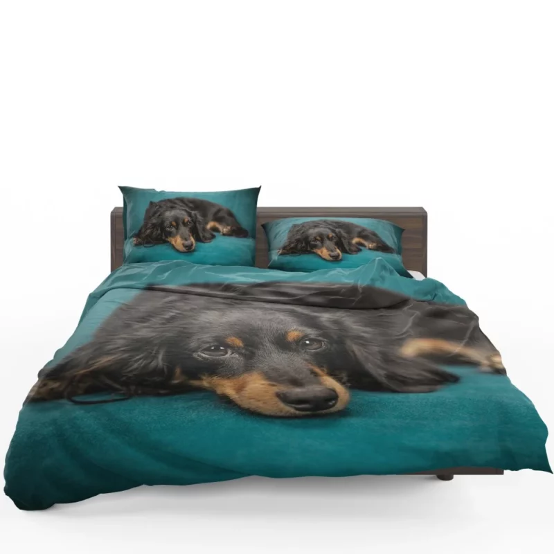 Dachshund Adorable Charm Furry Curiosity Bedding Set