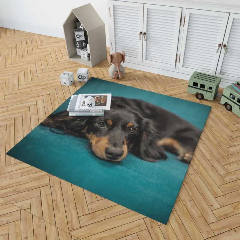 Dachshund Adorable Charm Furry Curiosity Rug 1