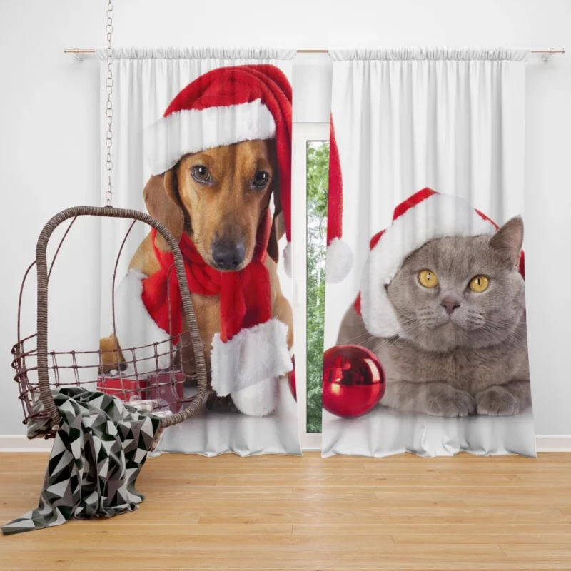 Dachshund & Cat in Christmas Spirits Curtain