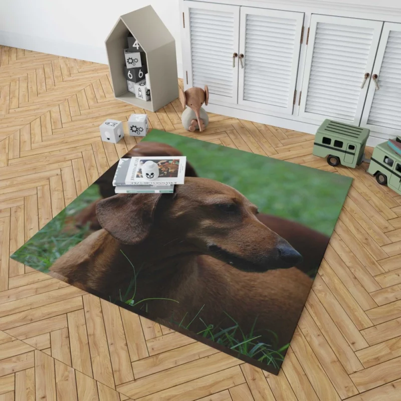 Dachshund Curious Exploration Rug 1