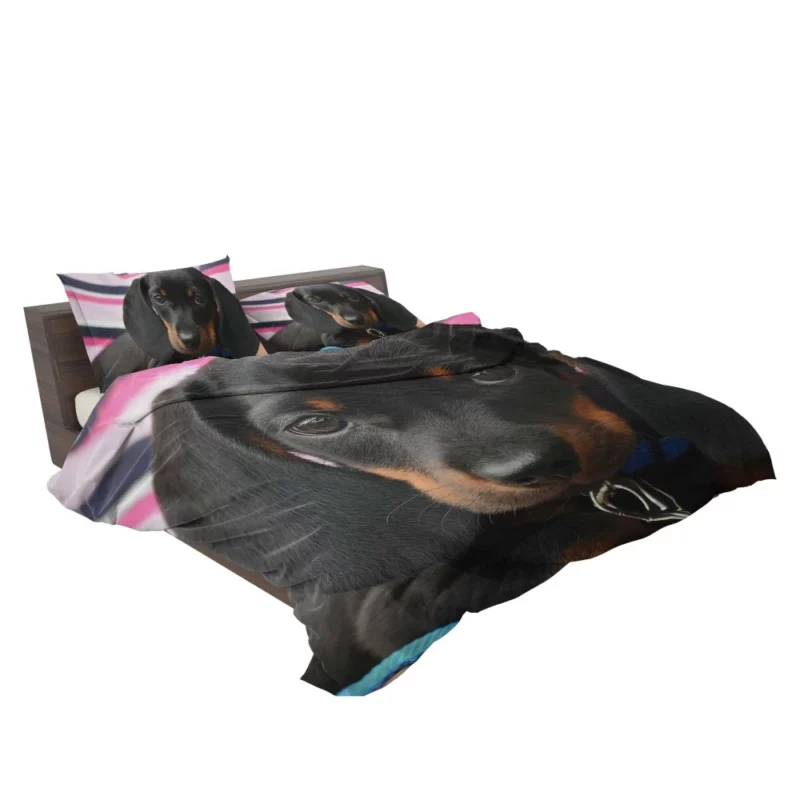 Dachshund Puppy Curious Gaze Furry Wonder Bedding Set 2