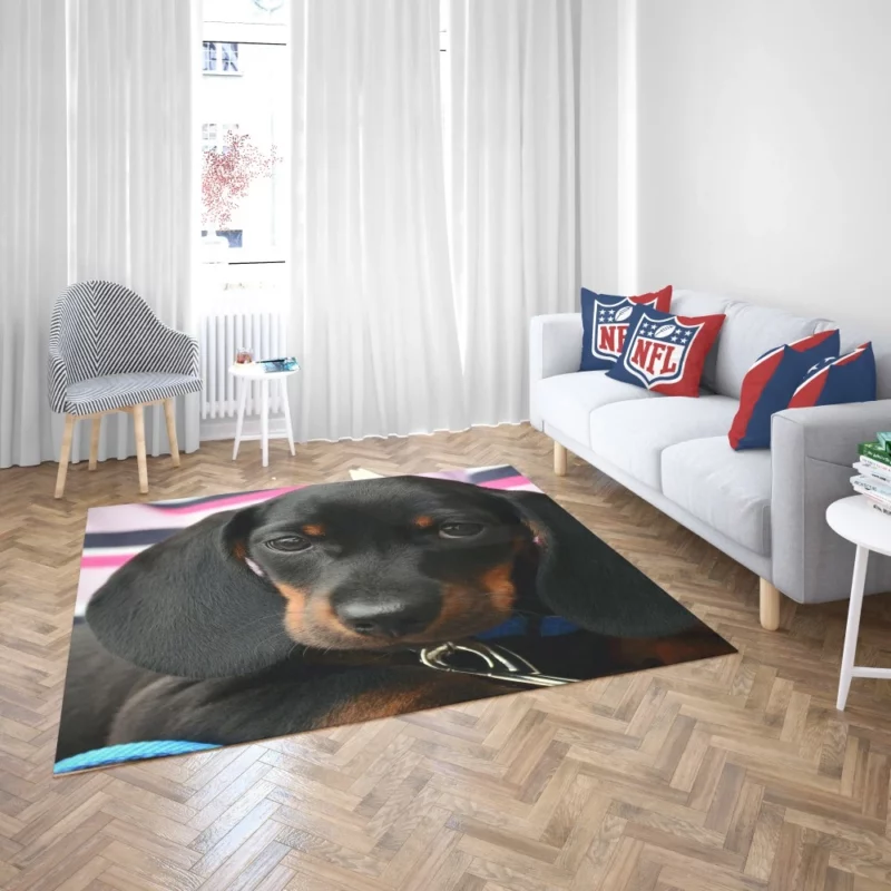 Dachshund Puppy Curious Gaze Furry Wonder Rug 2