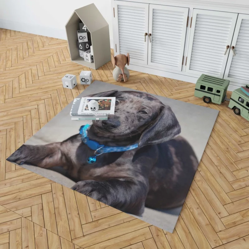 Dachshund Puppy Furry Playfulness Rug 1