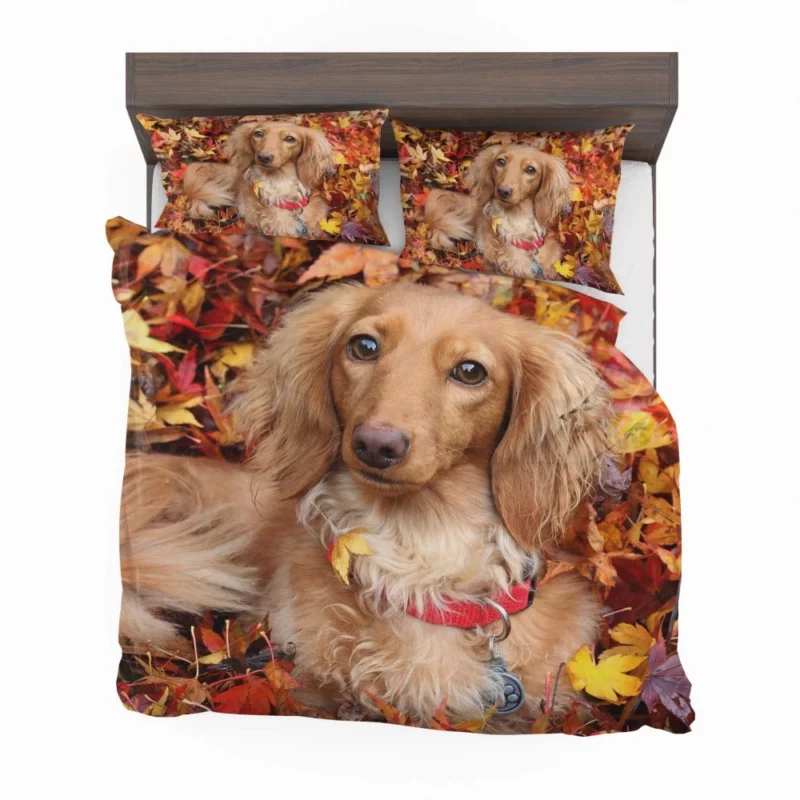 Dachshund in Autumn Playful Foliage Bedding Set 1