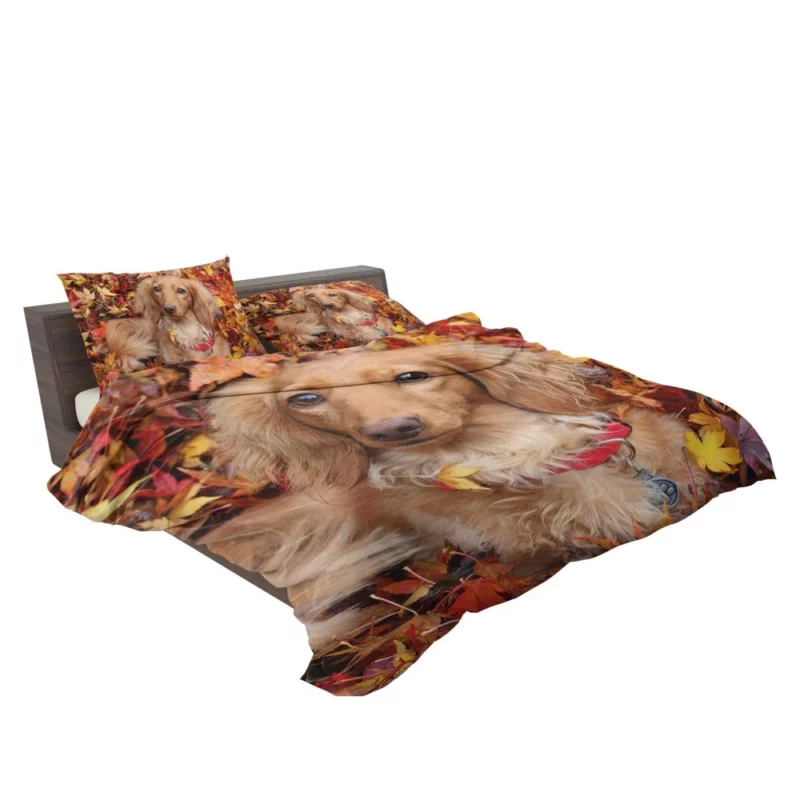 Dachshund in Autumn Playful Foliage Bedding Set 2