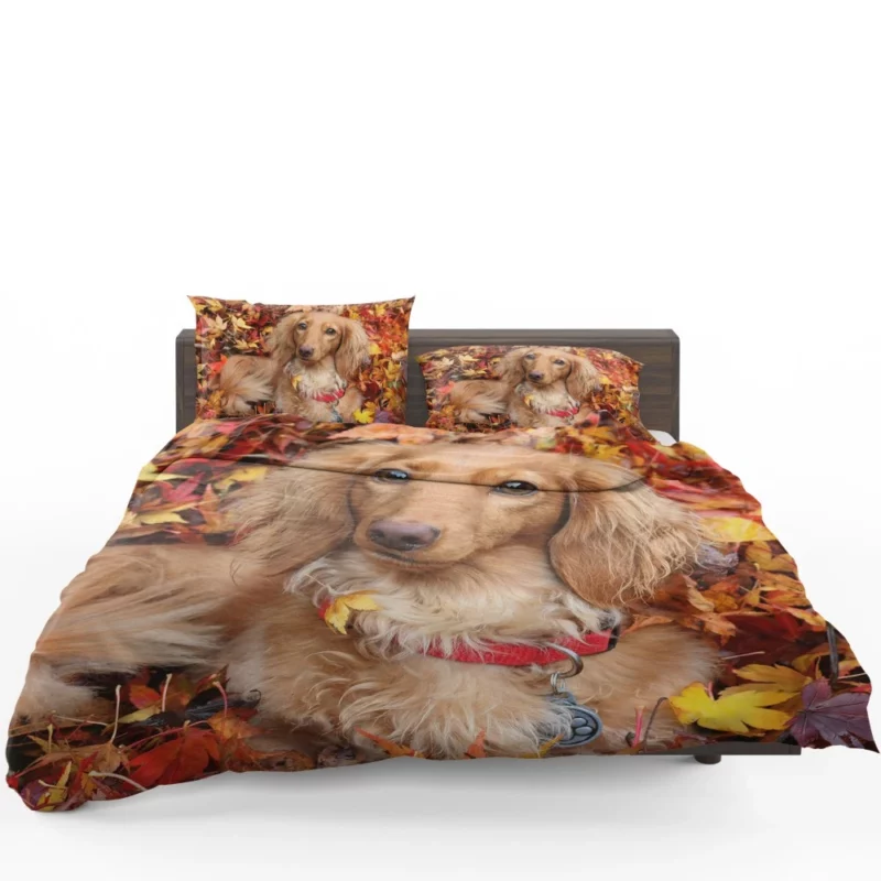 Dachshund in Autumn Playful Foliage Bedding Set