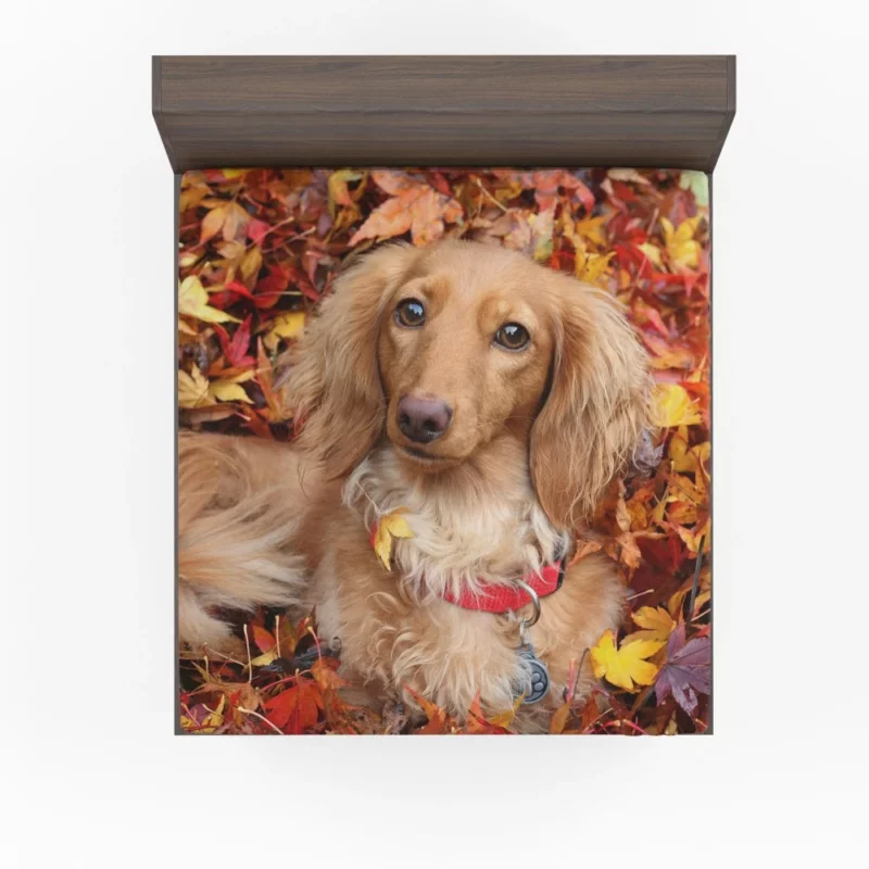 Dachshund in Autumn Playful Foliage Fitted Sheet 1