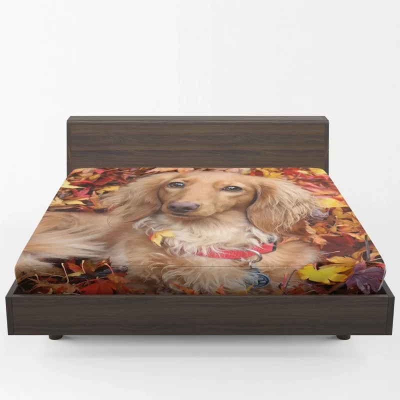 Dachshund in Autumn Playful Foliage Fitted Sheet