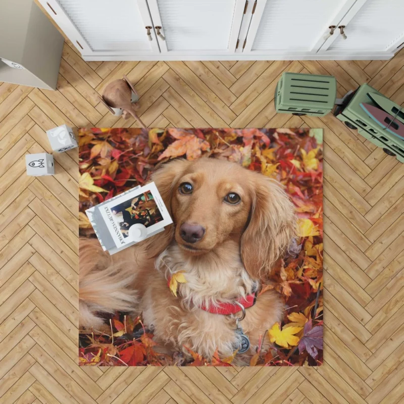 Dachshund in Autumn Playful Foliage Rug