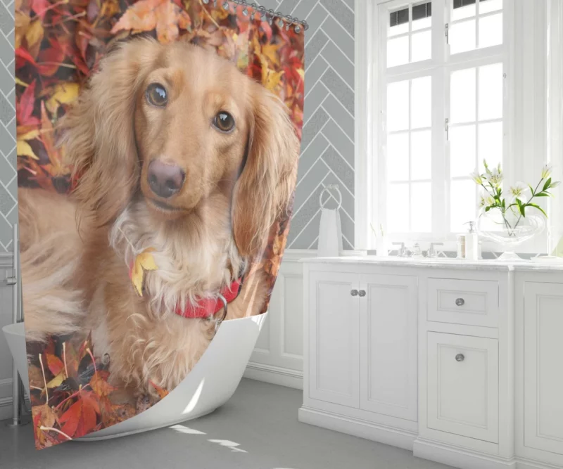 Dachshund in Autumn Playful Foliage Shower Curtain 1