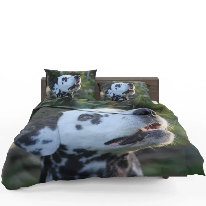 Dalmatian Bokeh Beauty Spotty Wonder Bedding Set