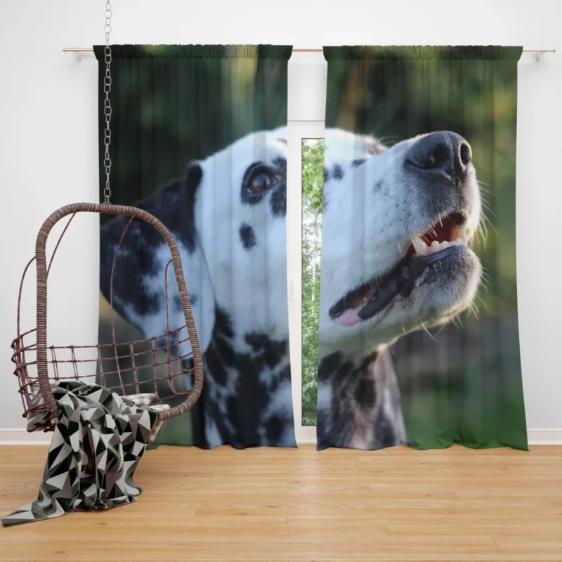 Dalmatian Bokeh Beauty Spotty Wonder Curtain