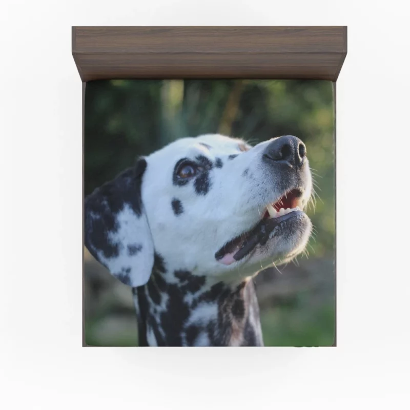 Dalmatian Bokeh Beauty Spotty Wonder Fitted Sheet 1