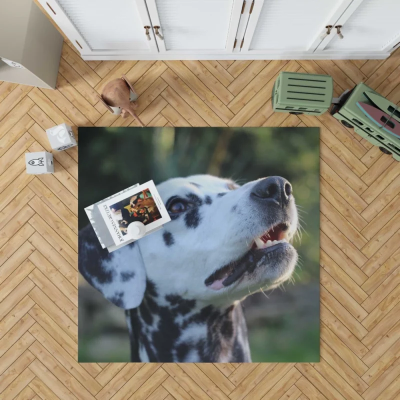 Dalmatian Bokeh Beauty Spotty Wonder Rug