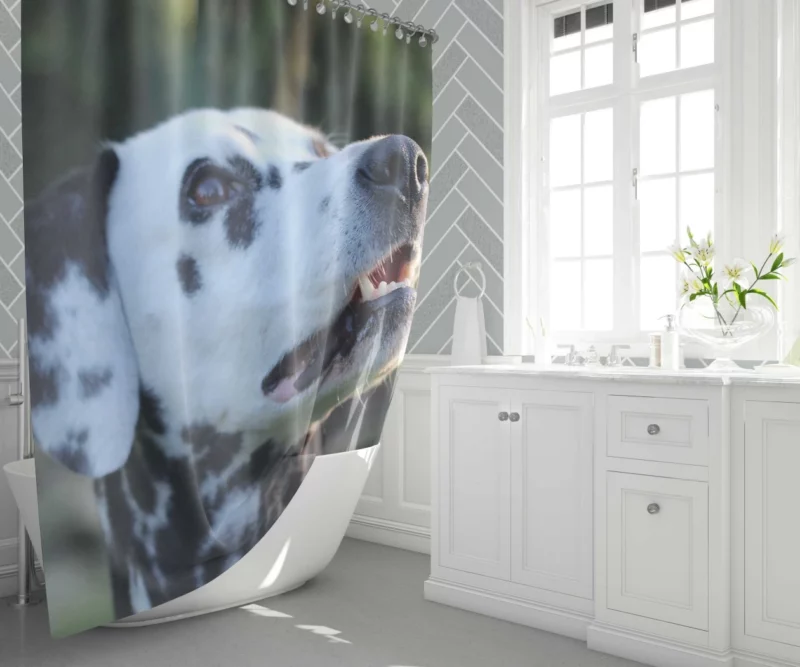 Dalmatian Bokeh Beauty Spotty Wonder Shower Curtain 1