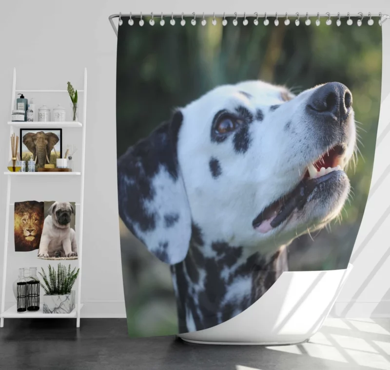 Dalmatian Bokeh Beauty Spotty Wonder Shower Curtain