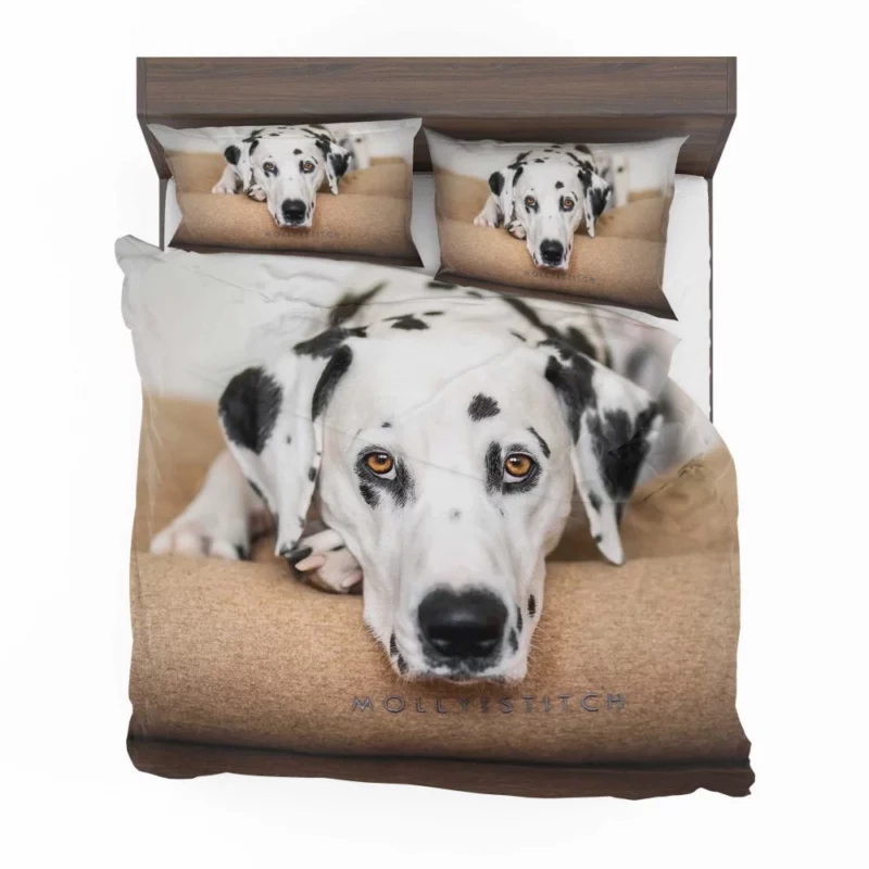 Dalmatian Curious Stare Innocent Gaze Bedding Set 1