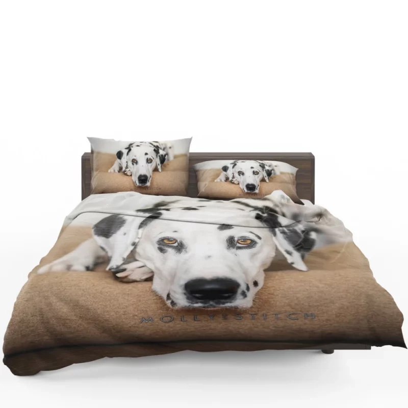 Dalmatian Curious Stare Innocent Gaze Bedding Set