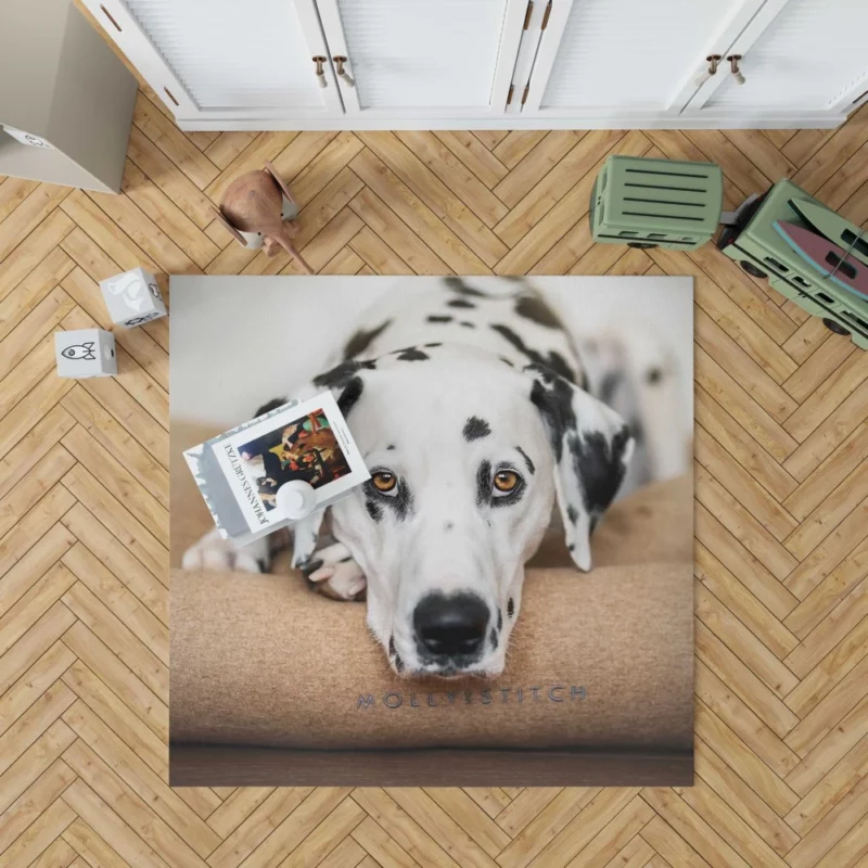 Dalmatian Curious Stare Innocent Gaze Rug