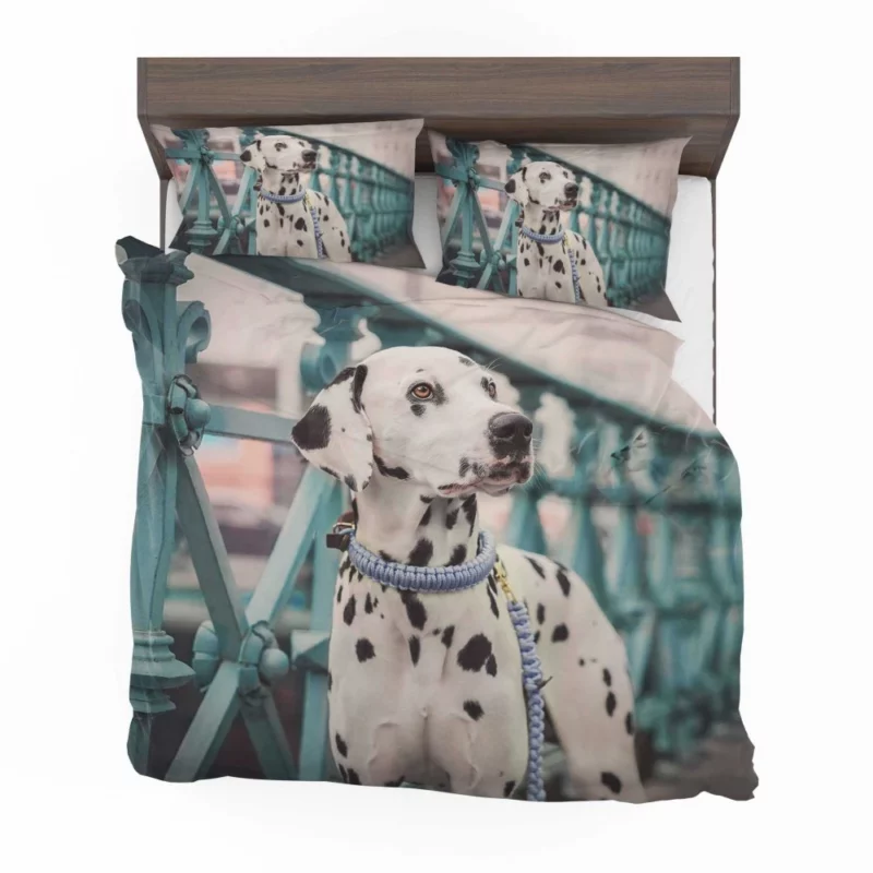 Dalmatian Depth of Field Innocence Bedding Set 1