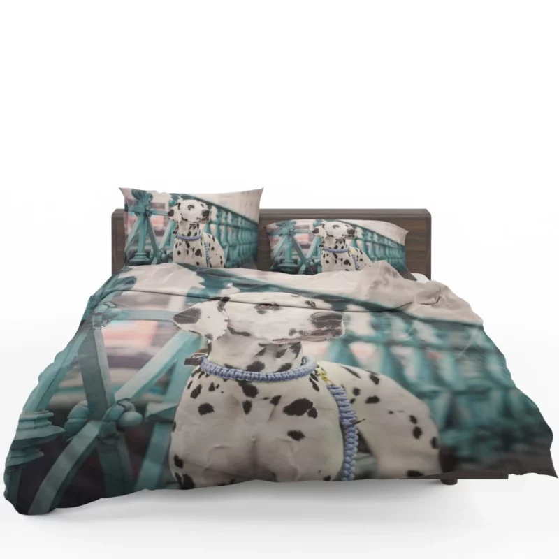 Dalmatian Depth of Field Innocence Bedding Set