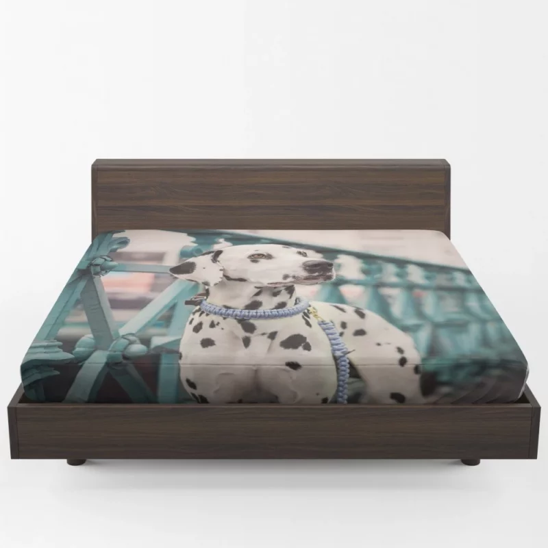 Dalmatian Depth of Field Innocence Fitted Sheet