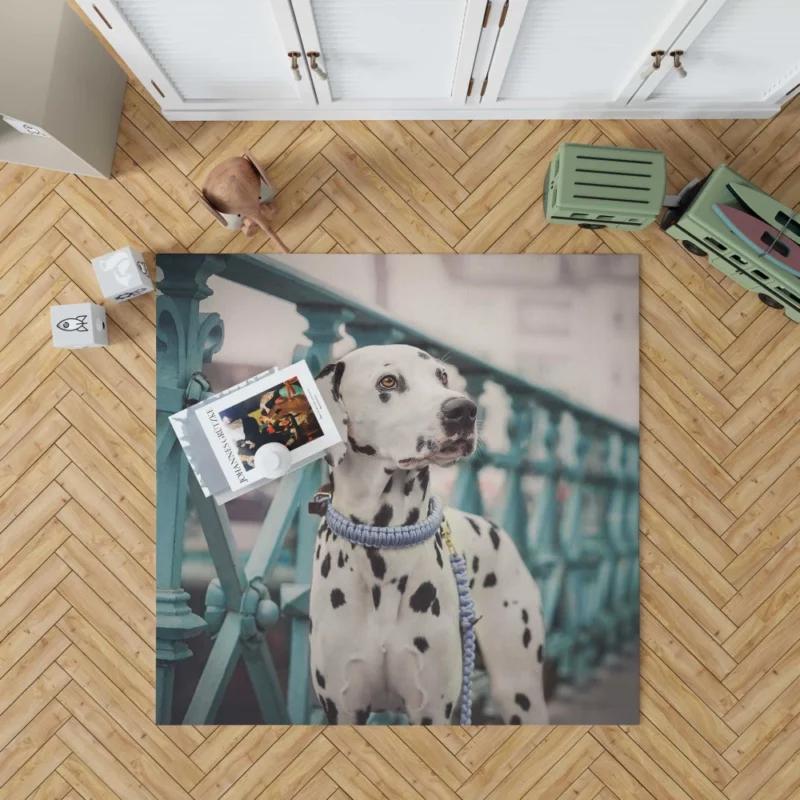 Dalmatian Depth of Field Innocence Rug