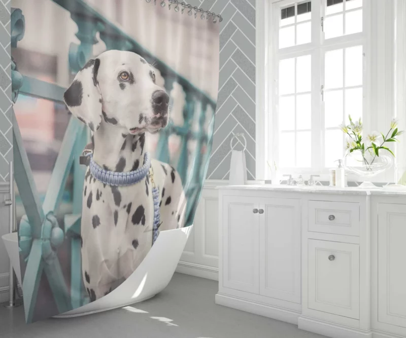 Dalmatian Depth of Field Innocence Shower Curtain 1