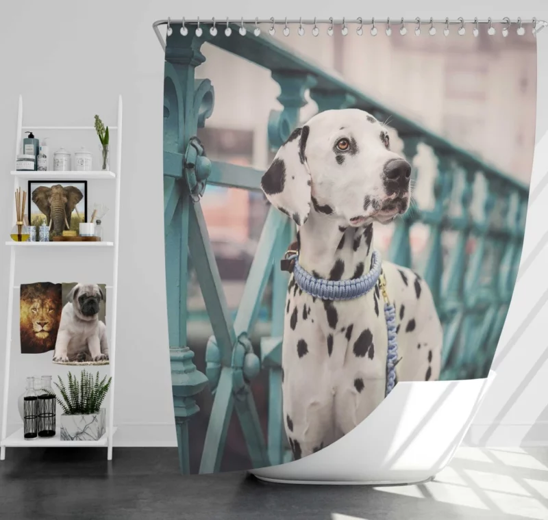 Dalmatian Depth of Field Innocence Shower Curtain