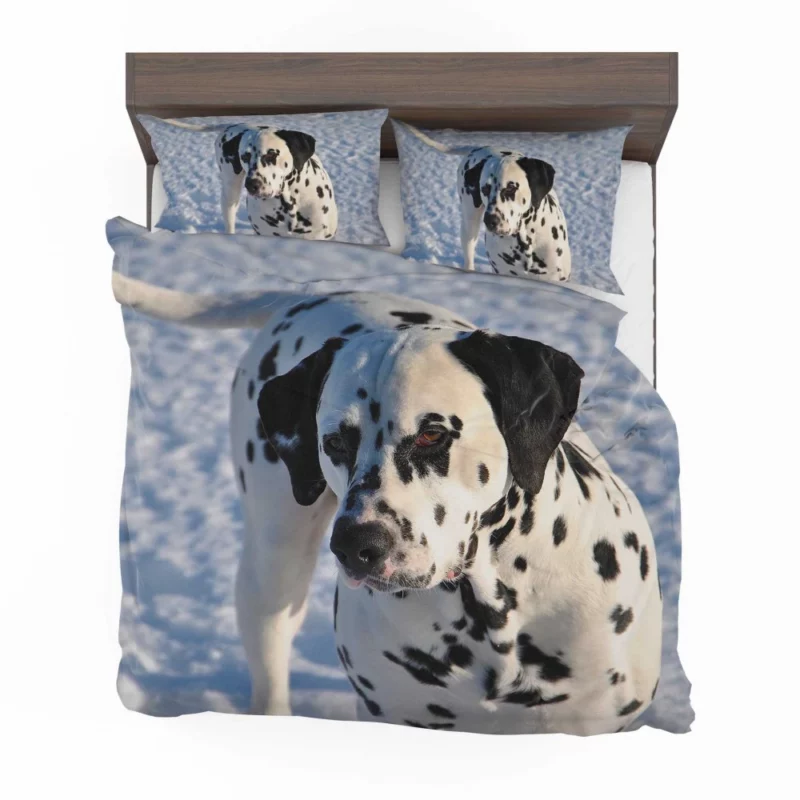 Dalmatian Distinctive Muzzle Canine Charm Bedding Set 1