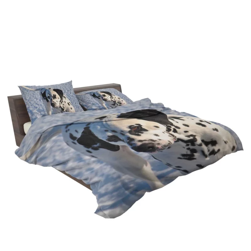 Dalmatian Distinctive Muzzle Canine Charm Bedding Set 2