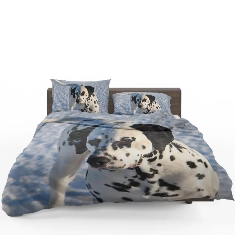 Dalmatian Distinctive Muzzle Canine Charm Bedding Set